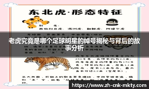 老虎究竟是哪个足球明星的绰号揭秘与背后的故事分析